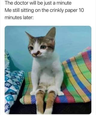 May be an image of cat and text that says "The doctor will be just a minute Me still sitting sitting on the crinkly paper 10 minutes later:"